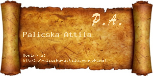 Palicska Attila névjegykártya